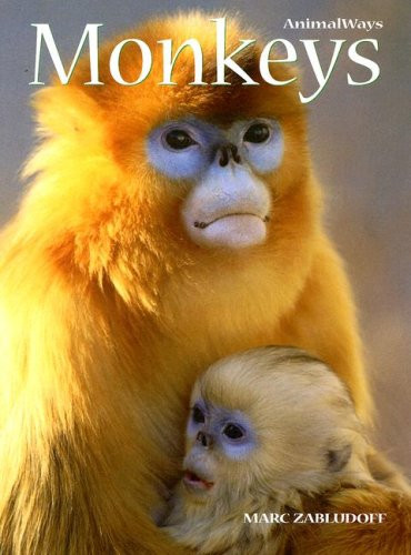 Monkeys - 9780761425359 by Marc Zabludoff, 9780761425359
