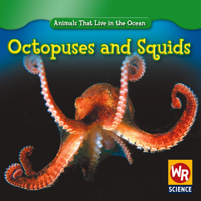 Octopuses and Squids by Valerie J. Weber, 9780836892420