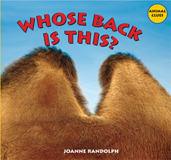Whose Back Is This? by Joanne Randolph, 9781404244542