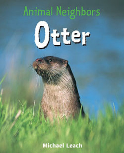 Otter - 9781404245709 by Michael Leach