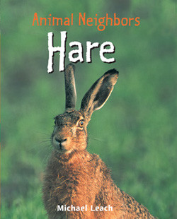 Hare - 9781435849976 by Michael Leach, 9781435849976