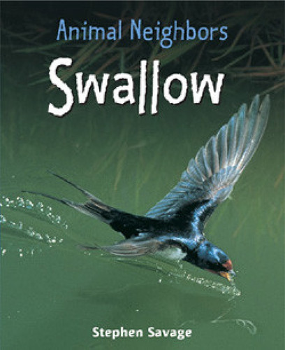 Swallow - 9781435849990 by Stephen Savage