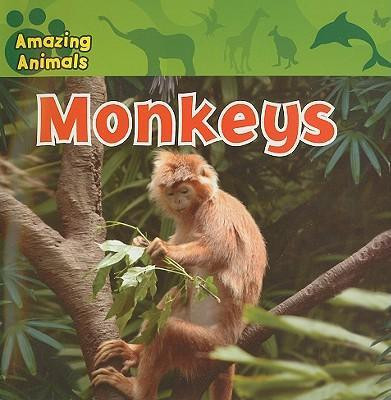 Monkeys - 9781433920264 by Christina Wilsdon, 9781433920264