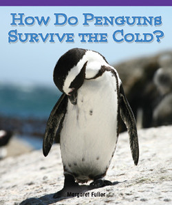 How Do Penguins Survive the Cold? by Mary Ann Hoffman, 9781435829695