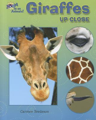 Giraffes Up Close by Carmen Bredeson, 9781598454147