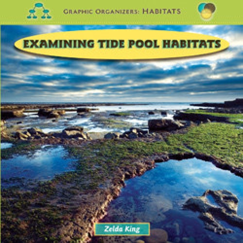 Examining Tide Pool Habitats by Zelda King, 9781435827196