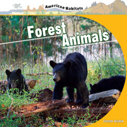 Forest Animals - 9781435831933 by Connor Dayton, 9781435831933