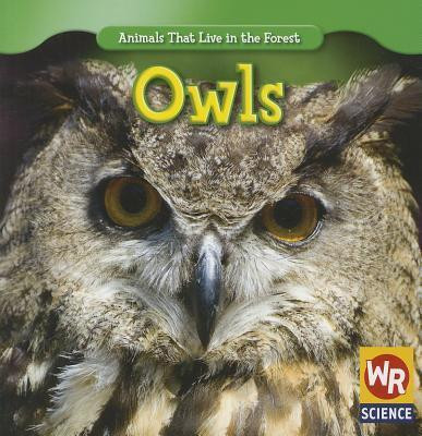 Owls - 9781433924828 by JoAnn Early Macken, 9781433924828