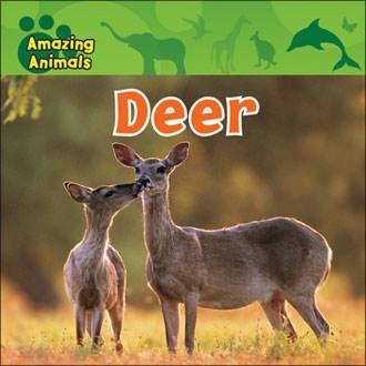Deer - 9780836891157 by Christina Wilsdon, 9780836891157