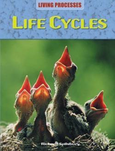 Life Cycles - 9781615323500 by Richard Spilsbury