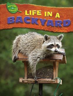 Life in a Backyard by Jen Green, 9781433934148