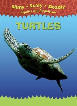 Turtles - 9781433934384 by Terrell Harris, 9781433934384