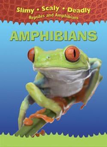 Amphibians - 9781433934414 by Terrell Harris, 9781433934414