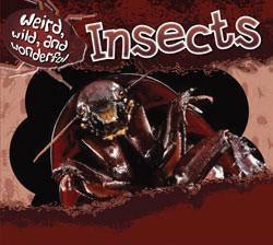 Insects - 9781433935756 by Shelley Underwood, 9781433935756