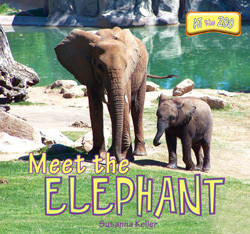 Meet the Elephant - 9781435897366 by Susanna Keller, 9781435897366