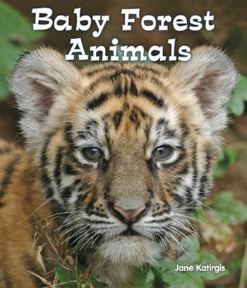 Baby Forest Animals by Jane Katirgis, 9780766037984