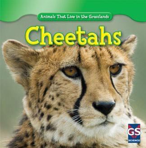 Cheetahs - 9781433938641 by Ethan Grucella, 9781433938641