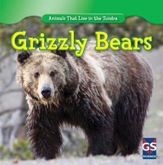Grizzly Bears - 9781433938993 by Therese M. Shea, 9781433938993