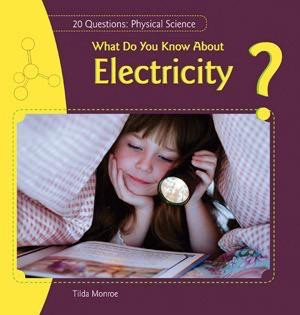 What Do You Know About Electricity? by Tilda Monroe, 9781448806713
