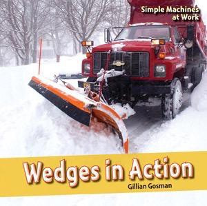 Wedges in Action by Gillian Houghton Gosman, 9781448806836