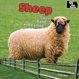 Sheep - 9781448806904 by Lorijo Metz, 9781448806904