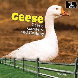 Geese - 9781448806928 by Lorijo Metz, 9781448806928