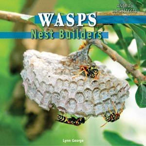 Wasps by Lynn George, 9781448806935
