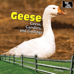 Geese - 9781448813452 by Lorijo Metz, 9781448813452