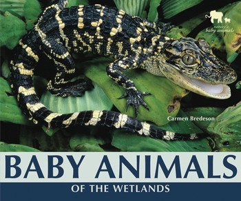 Baby Animals of the Wetlands by Carmen Bredeson, 9780766035645