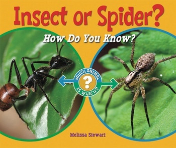 Insect or Spider? (How Do You Know?) by Melissa Stewart, 9780766036819