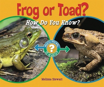 Frog or Toad? (How Do You Know?) by Melissa Stewart, 9780766036826