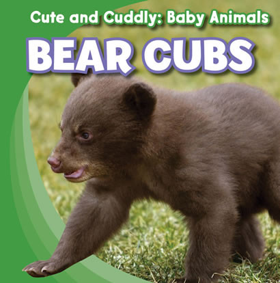 Bear Cubs - 9781433944994 by Grace Elora, 9781433944994