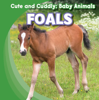 Foals - 9781433945076 by Grace Elora, 9781433945076