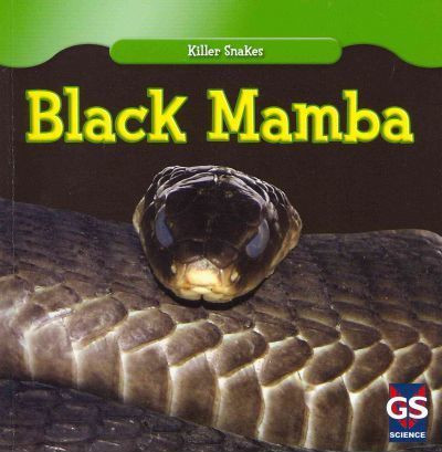Black Mamba - 9781433945304 by Angelo Gangemi, 9781433945304
