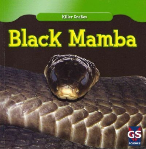 Black Mamba - 9781433945304 by Angelo Gangemi