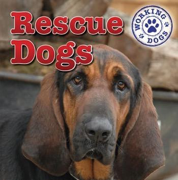 Rescue Dogs - 9781433946677 by Kristen Rajczak Nelson, 9781433946677