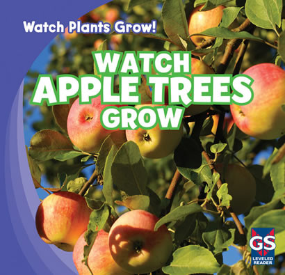 Watch Apple Trees Grow by Mary Ann Hoffman, 9781433948169