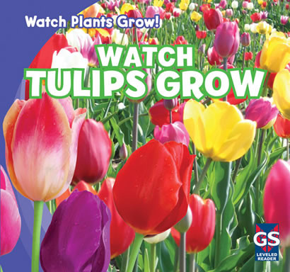 Watch Tulips Grow by Kristen Rajczak Nelson, 9781433948459