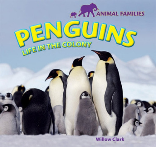 Penguins (Life in the Colony) by Willow Clark, 9781448825103