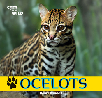 Ocelots by Henry Randall, 9781448825196