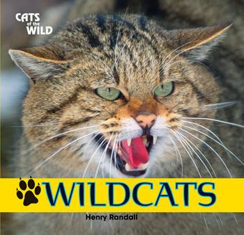 Wildcats by Henry Randall, 9781448825219