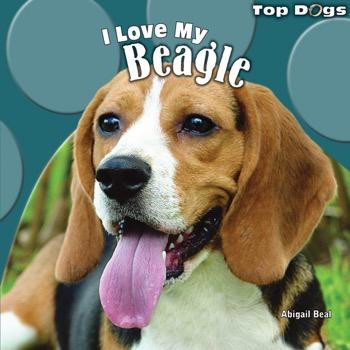 I Love My Beagle by Abigail Beal, 9781448825400