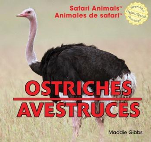 Ostriches / Avestruces by Maddie Gibbs, 9781448831210
