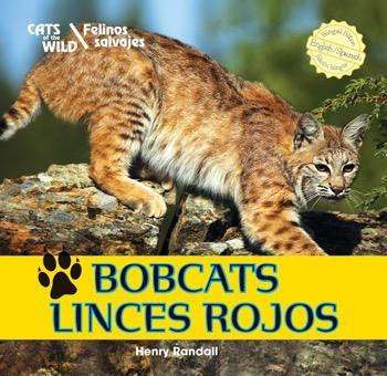 Bobcats / Linces rojos (Bilingual Edition) by Henry Randall, 9781448831326
