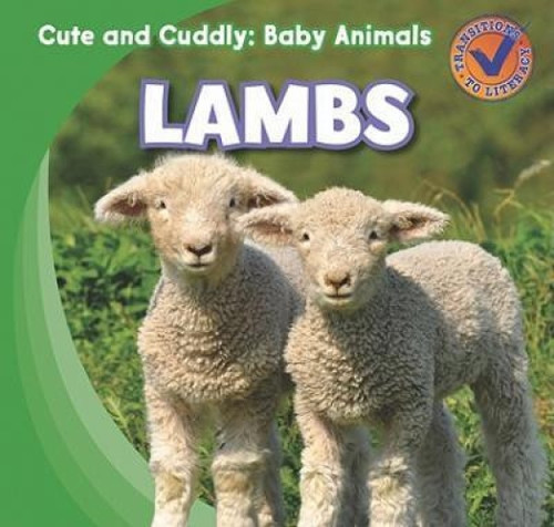 Lambs - 9781433955471 by Katie Kawa