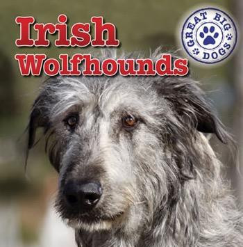 Irish Wolfhounds - 9781433957789 by Kristen Rajczak Nelson, 9781433957789