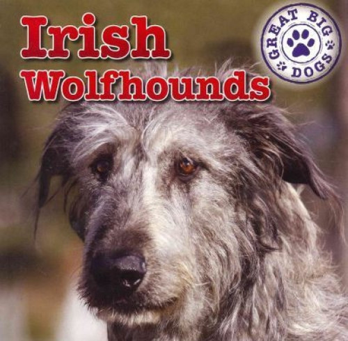 Irish Wolfhounds - 9781433957802 by Kristen Rajczak Nelson