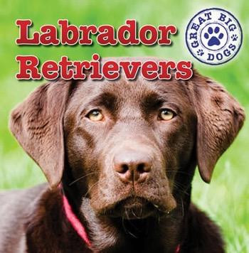 Labrador Retrievers - 9781433957826 by Maria Nelson, 9781433957826