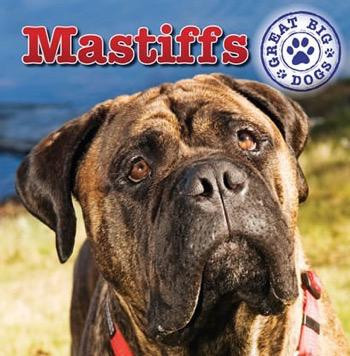Mastiffs - 9781433957864 by Maria Nelson, 9781433957864