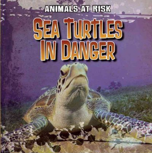 Sea Turtles in Danger - 9781433958045 by Michael Portman, 9781433958045